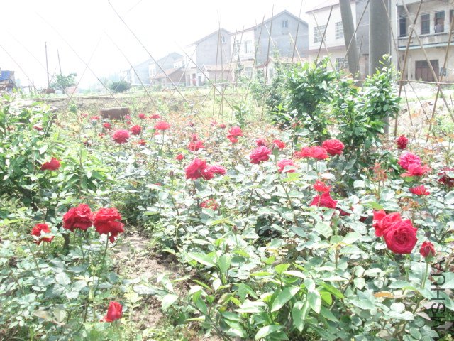 DSC03818.JPG