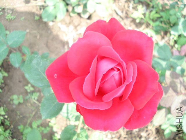 DSC03817.JPG