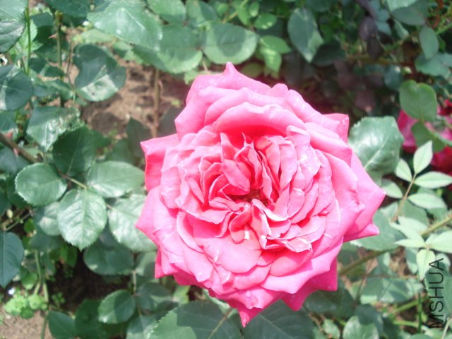 DSC03820.JPG