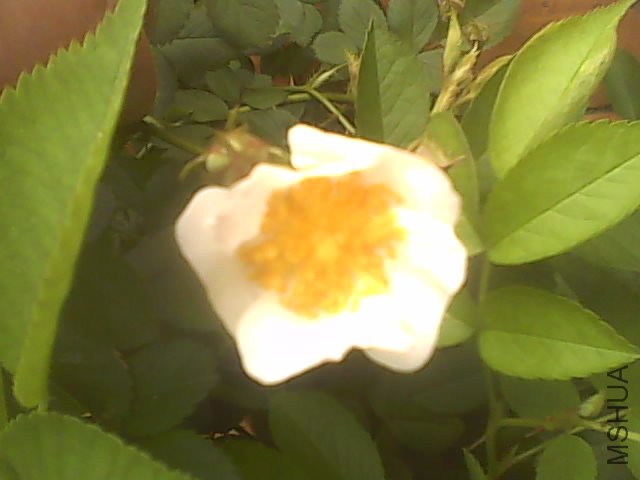 201005080916080.jpg