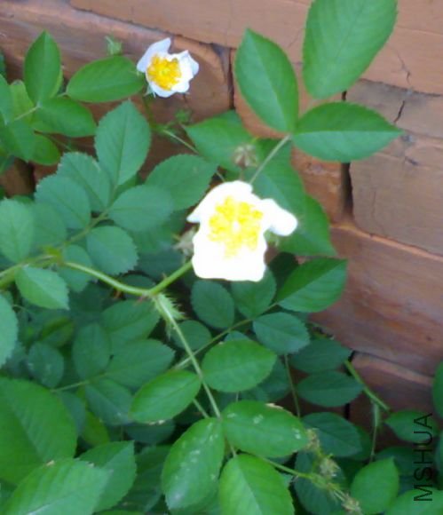 08052010340.jpg
