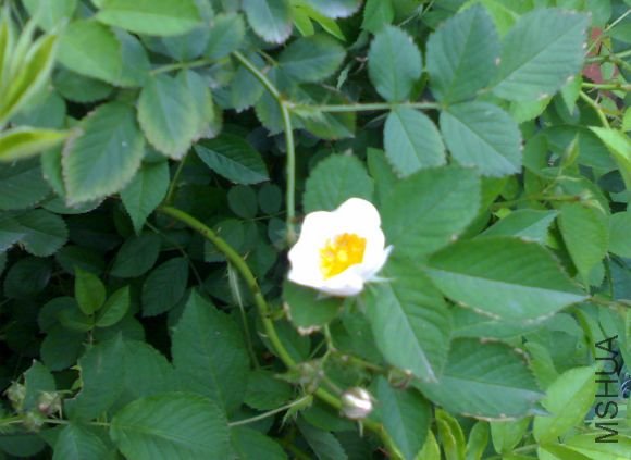 08052010339.jpg