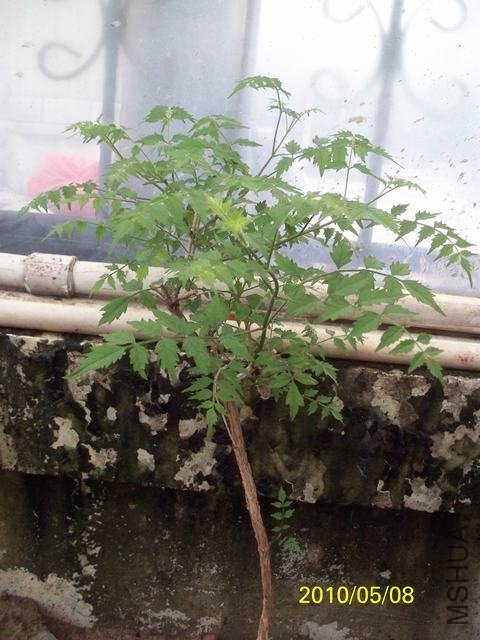 100_1791.JPG