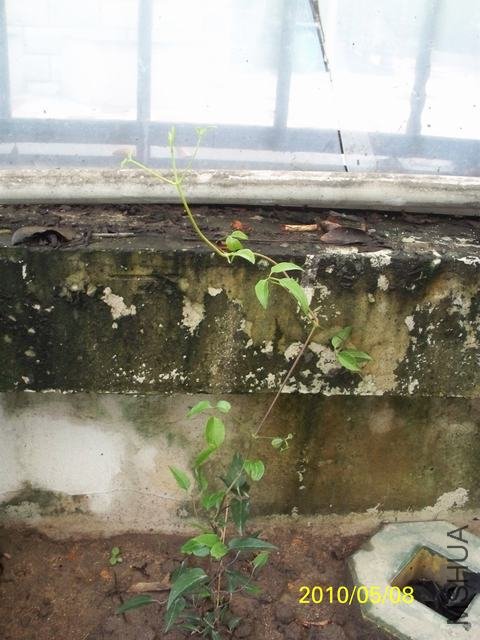 100_1792.JPG