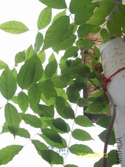 100_1608.JPG