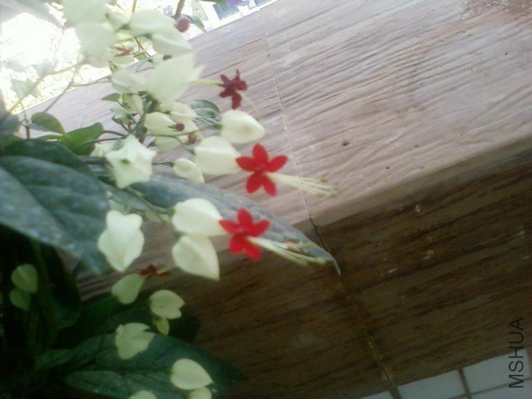��Ƭ016.jpg