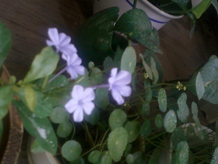 ��Ƭ016.jpg