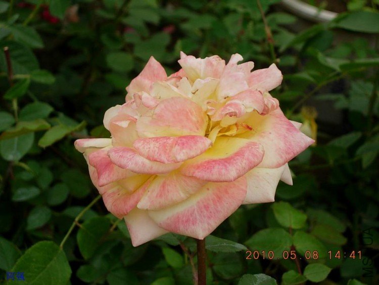 nEO_IMG_�¼���չ 007.jpg