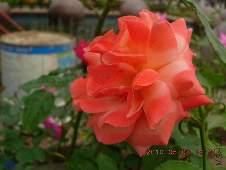 nEO_IMG_�¼���չ 011.jpg