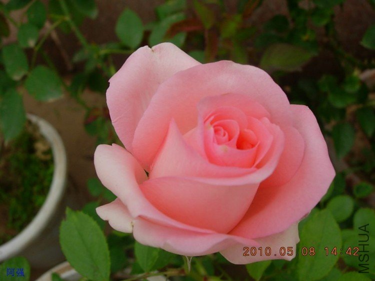 nEO_IMG_�¼���չ 010.jpg