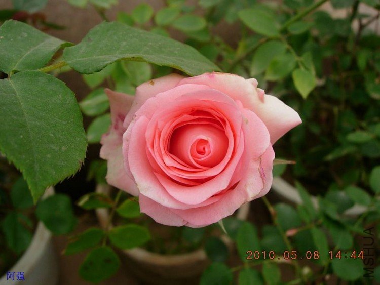 nEO_IMG_�¼���չ 014.jpg