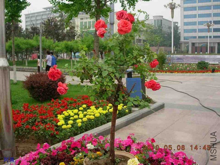 nEO_IMG_�¼���չ 017.jpg