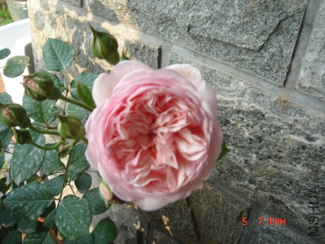 DSC03267.JPG