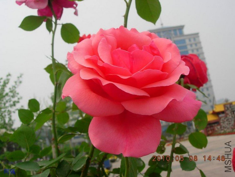 nEO_IMG_�¼���չ 022.jpg
