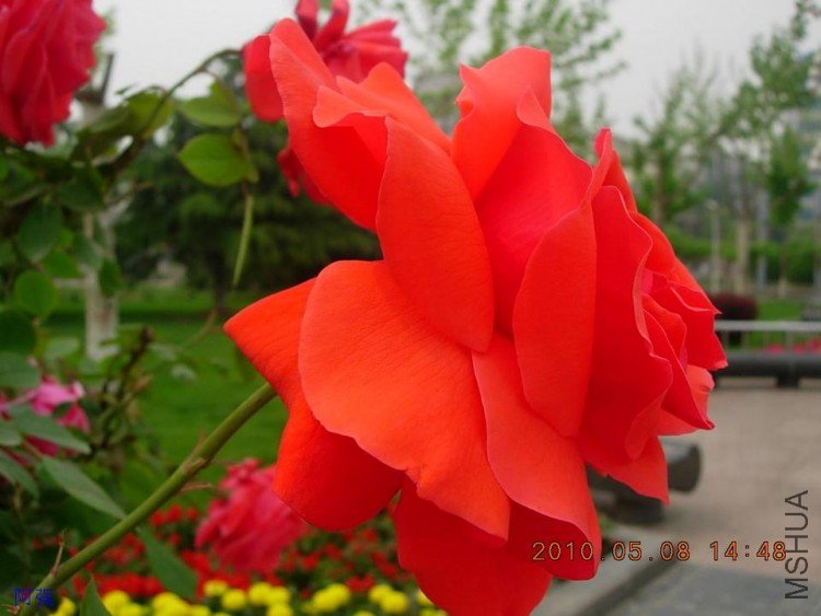 nEO_IMG_�¼���չ 023.jpg
