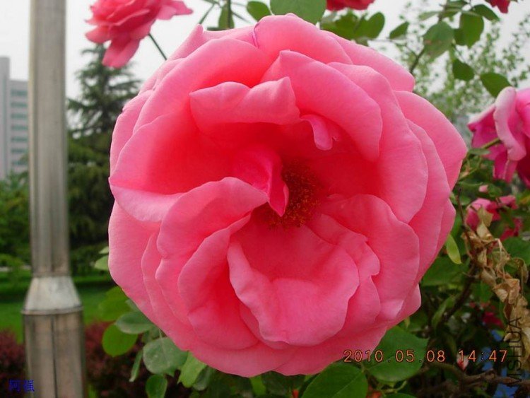 nEO_IMG_�¼���չ 021.jpg