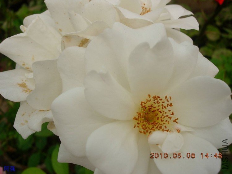 nEO_IMG_�¼���չ 025.jpg