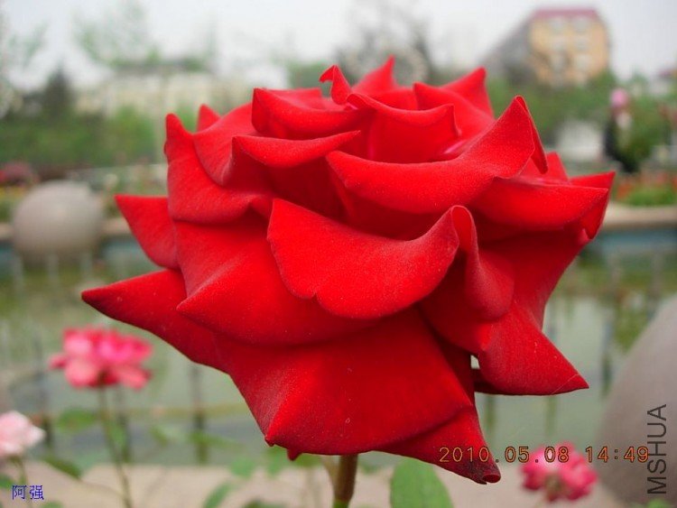 nEO_IMG_�¼���չ 027.jpg