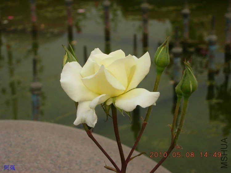 nEO_IMG_�¼���չ 028.jpg
