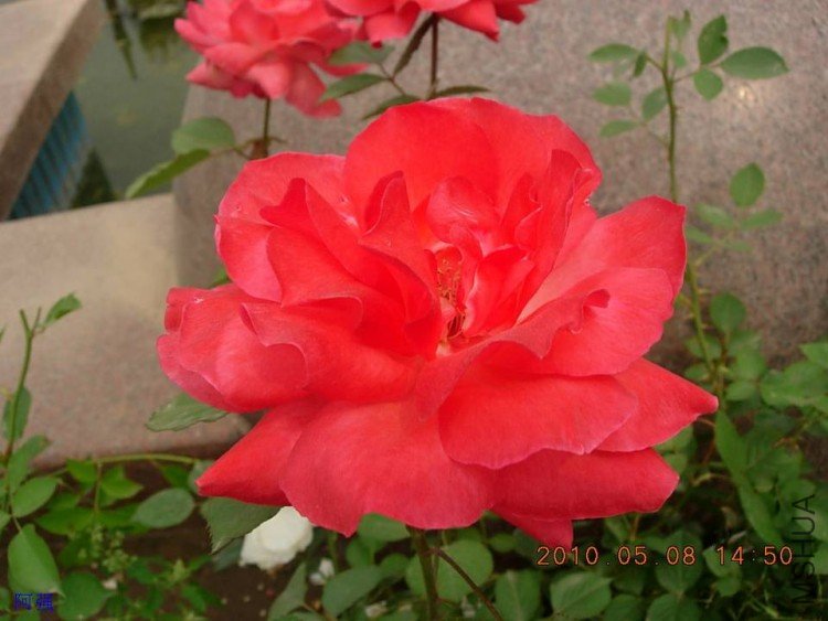 nEO_IMG_�¼���չ 029.jpg