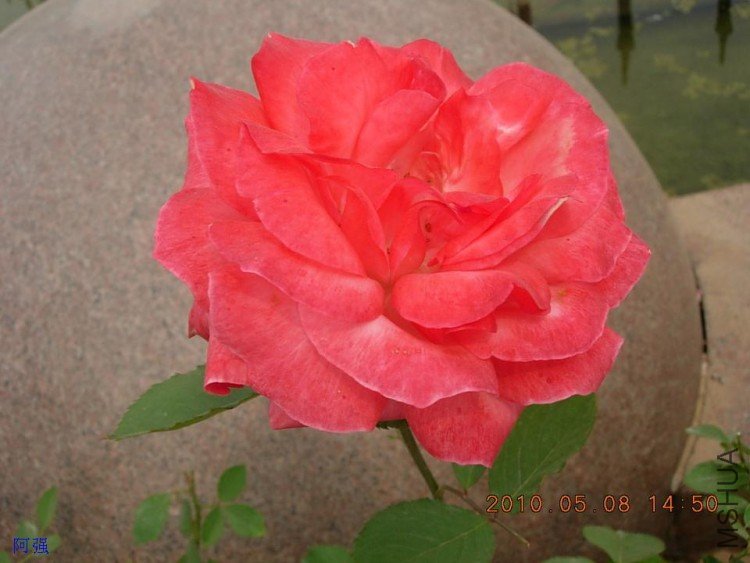 nEO_IMG_�¼���չ 030.jpg