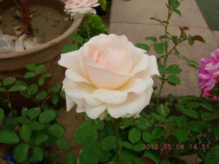nEO_IMG_�¼���չ 033.jpg