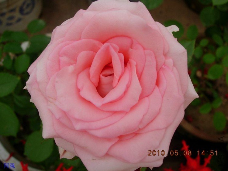 nEO_IMG_�¼���չ 032.jpg