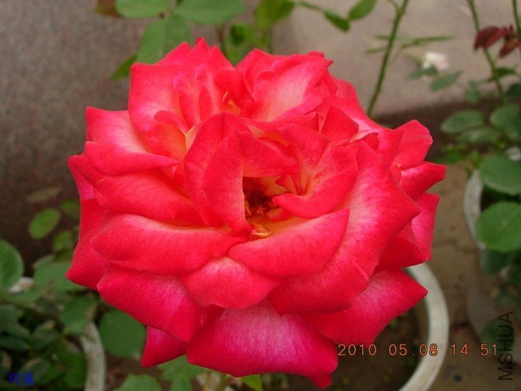 nEO_IMG_�¼���չ 034.jpg
