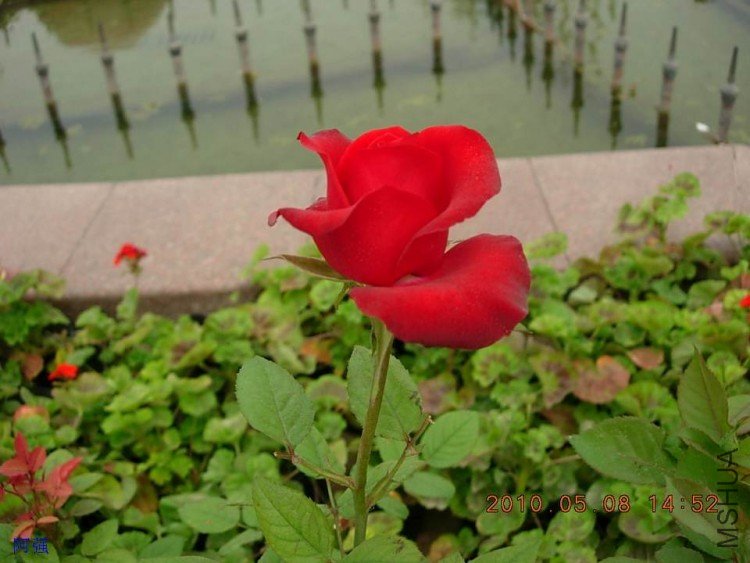 nEO_IMG_�¼���չ 036.jpg
