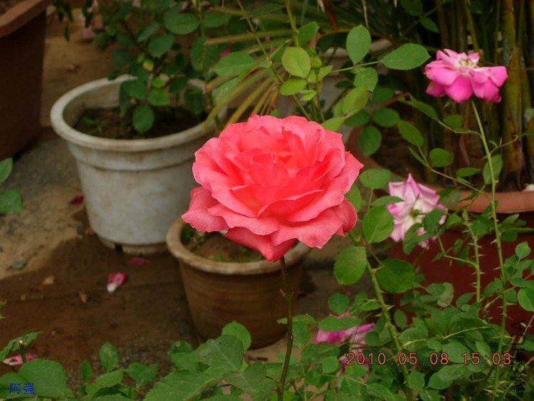 nEO_IMG_�¼���չ 076.jpg