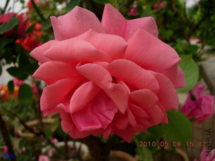 nEO_IMG_�¼���չ 072.jpg