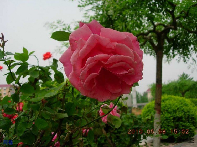 nEO_IMG_�¼���չ 073.jpg
