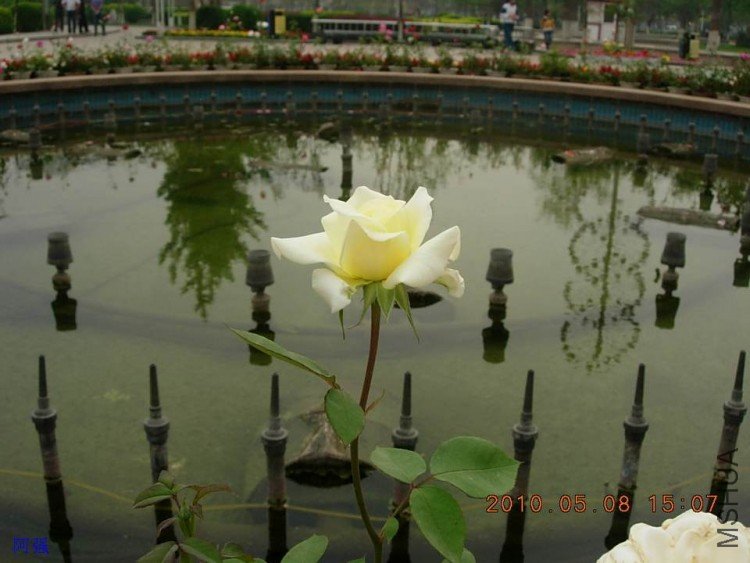nEO_IMG_�¼���չ 090.jpg