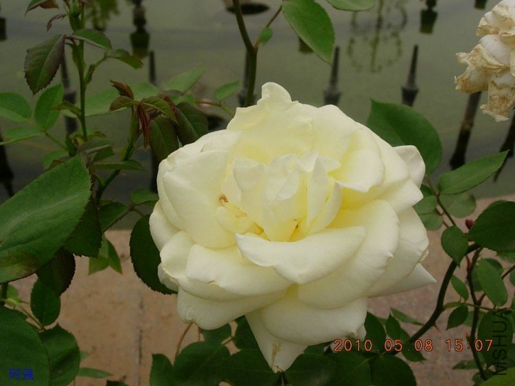 nEO_IMG_�¼���չ 089.jpg