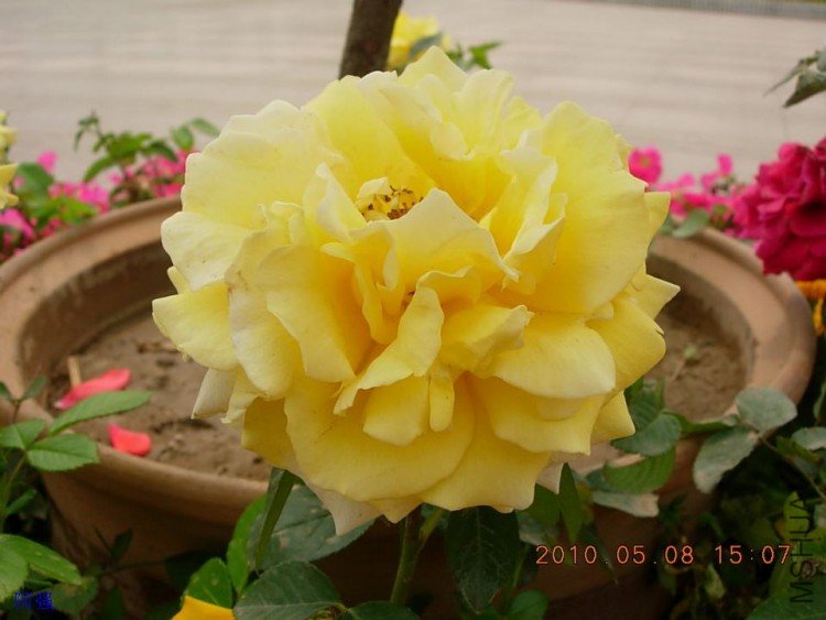 nEO_IMG_�¼���չ 087.jpg