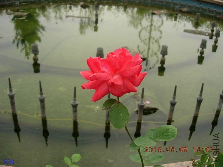 nEO_IMG_�¼���չ 088.jpg