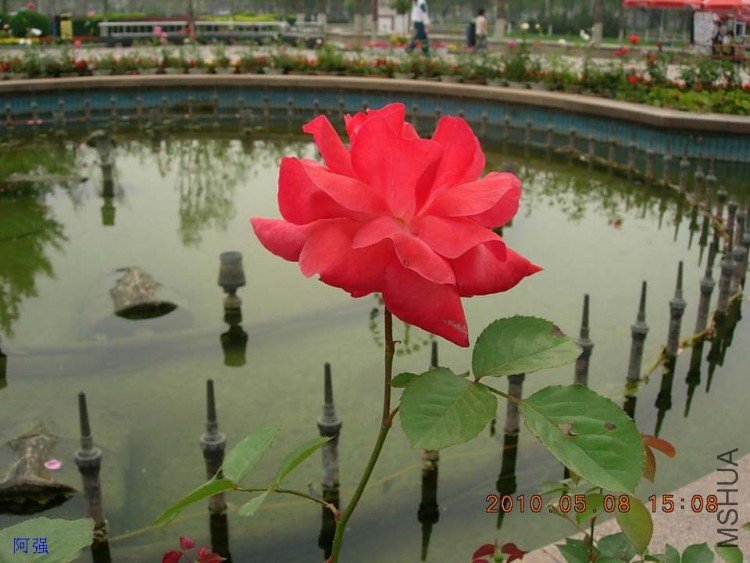 nEO_IMG_�¼���չ 091.jpg