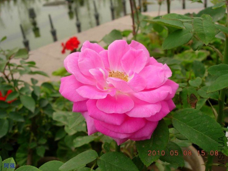 nEO_IMG_�¼���չ 093.jpg