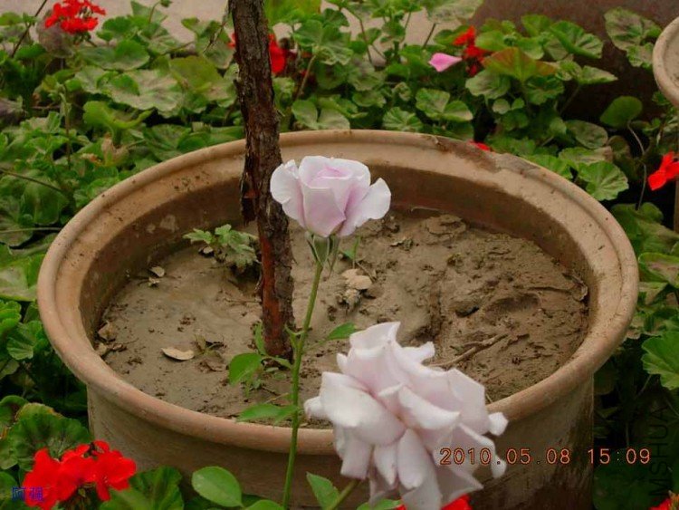 nEO_IMG_�¼���չ 097.jpg