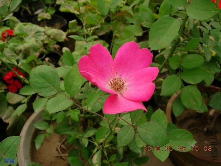 nEO_IMG_�¼���չ 094.jpg