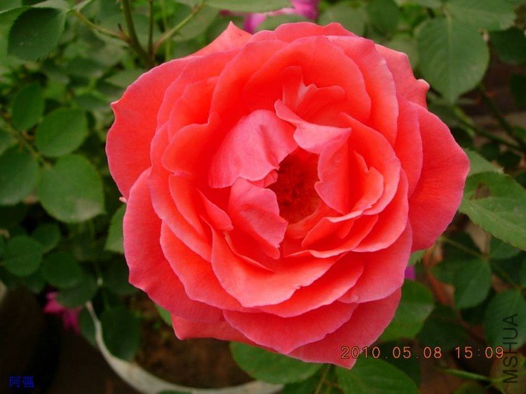 nEO_IMG_�¼���չ 100.jpg