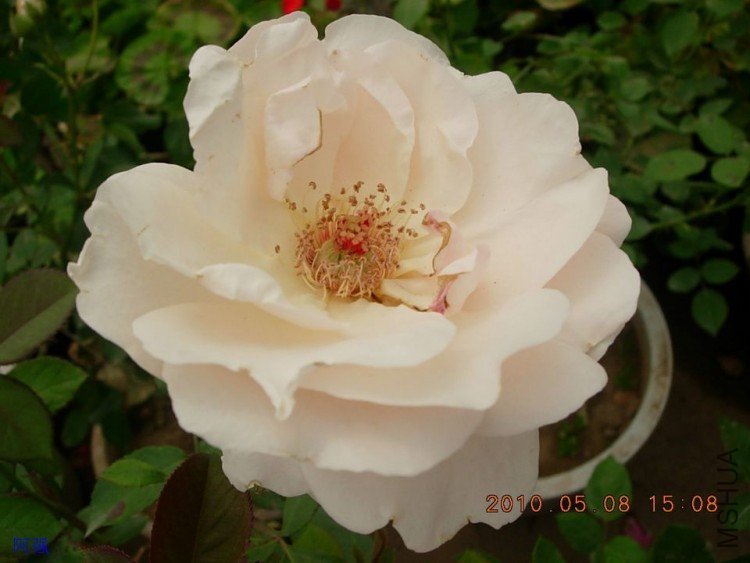 nEO_IMG_�¼���չ 096.jpg