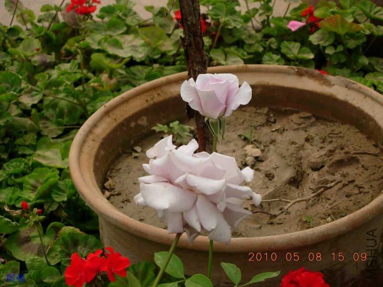 nEO_IMG_�¼���չ 098.jpg