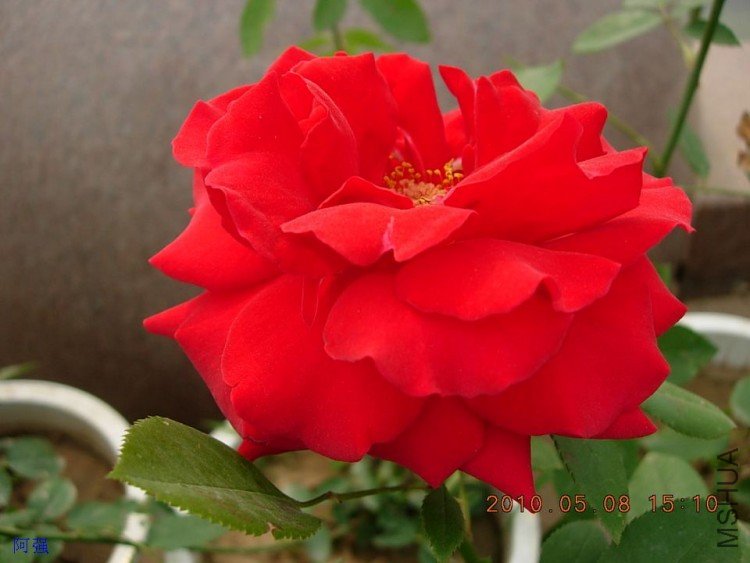 nEO_IMG_�¼���չ 101.jpg