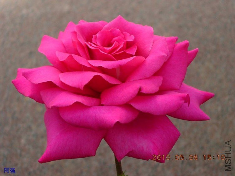 nEO_IMG_�¼���չ 102.jpg