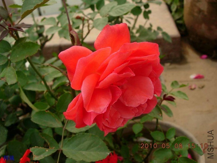 nEO_IMG_�¼���չ 105.jpg