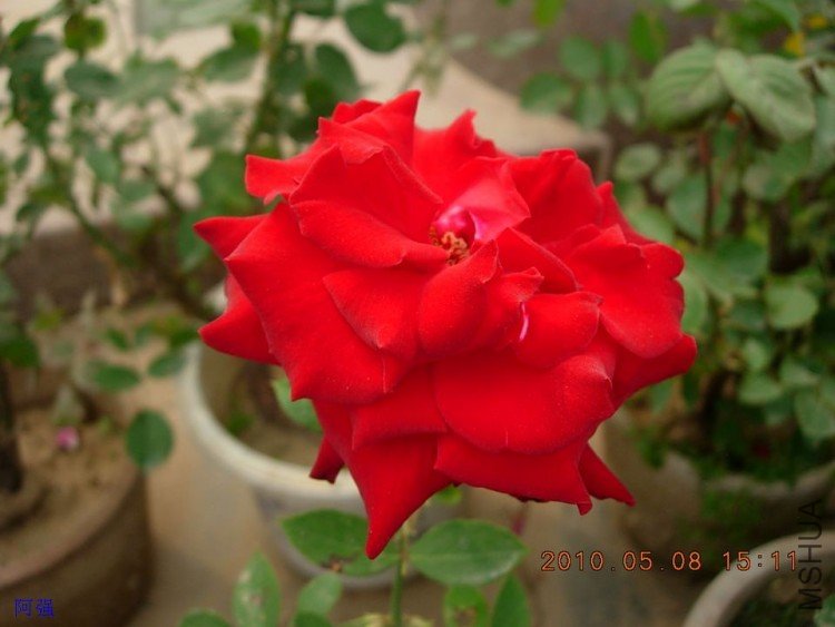 nEO_IMG_�¼���չ 107.jpg