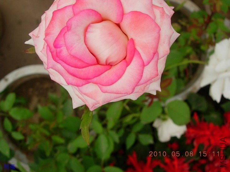 nEO_IMG_�¼���չ 109.jpg
