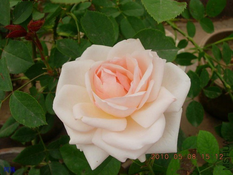 nEO_IMG_�¼���չ 111.jpg