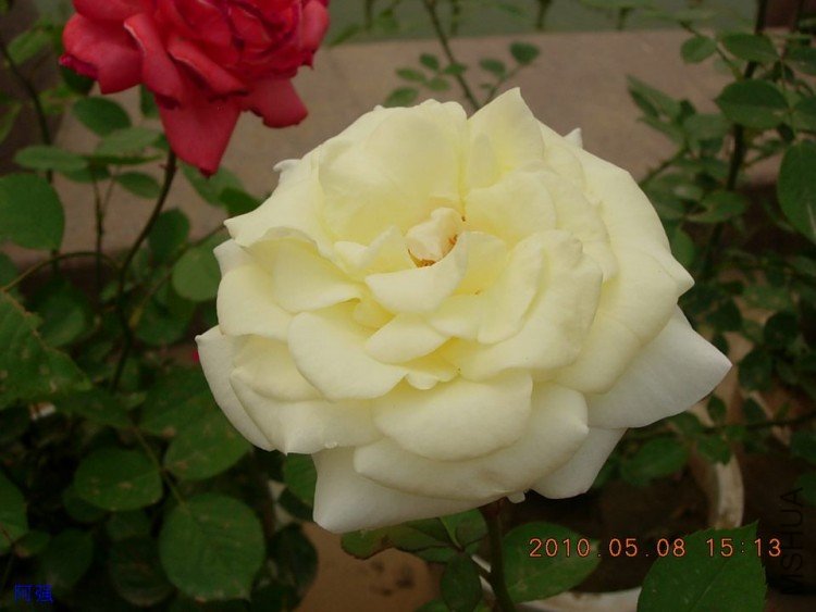 nEO_IMG_�¼���չ 116.jpg